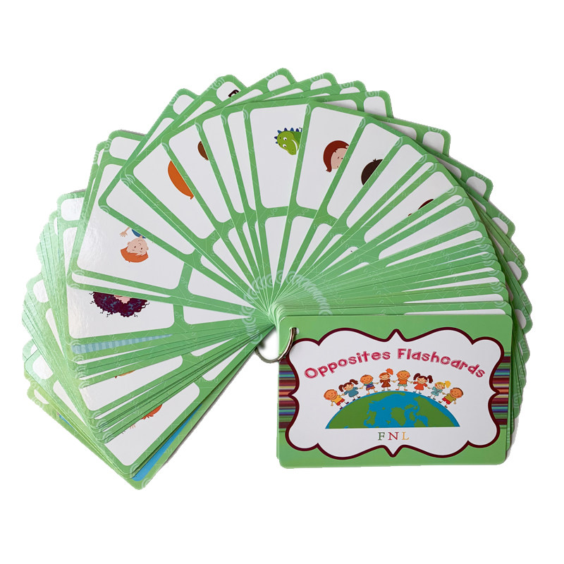 The 100 Groups Opposites Flash - đánh giá và giá Kids Education Product