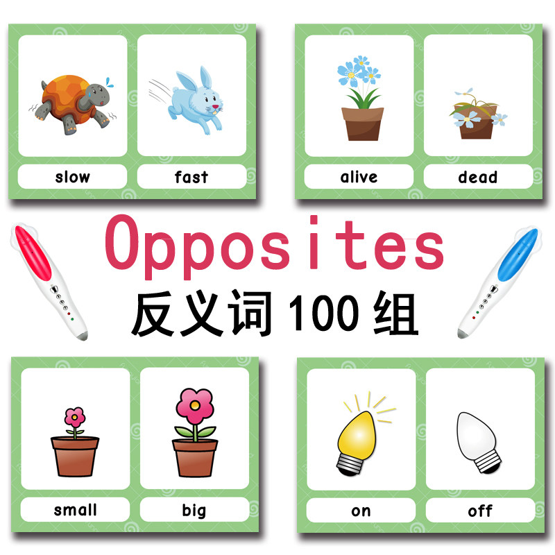 The 100 Groups Opposites Flash - đánh giá và giá Kids Education Product