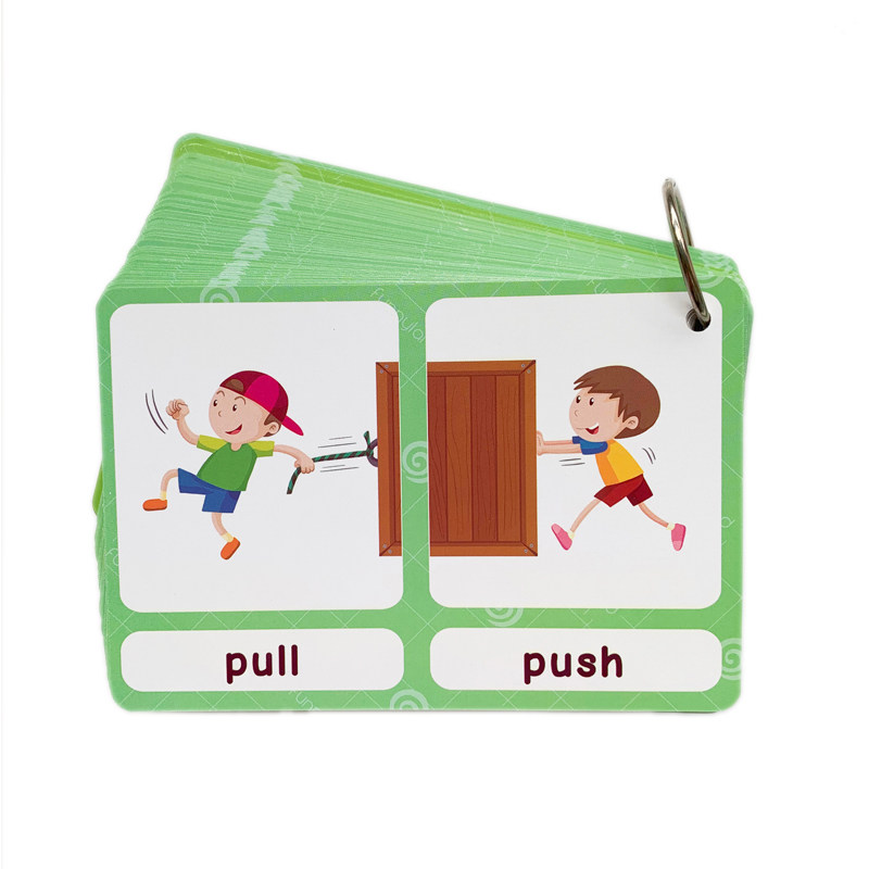 The 100 Groups Opposites Flash - đánh giá và giá Kids Education Product