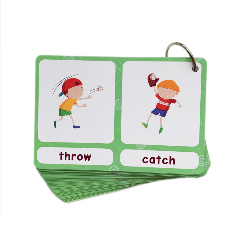 The 100 Groups Opposites Flash - đánh giá và giá Kids Education Product
